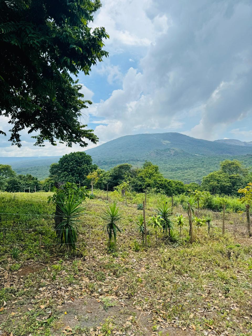 Terreno con Vista Panorámica al Volcán Masaya – Excelente Oportunidad de Inversión