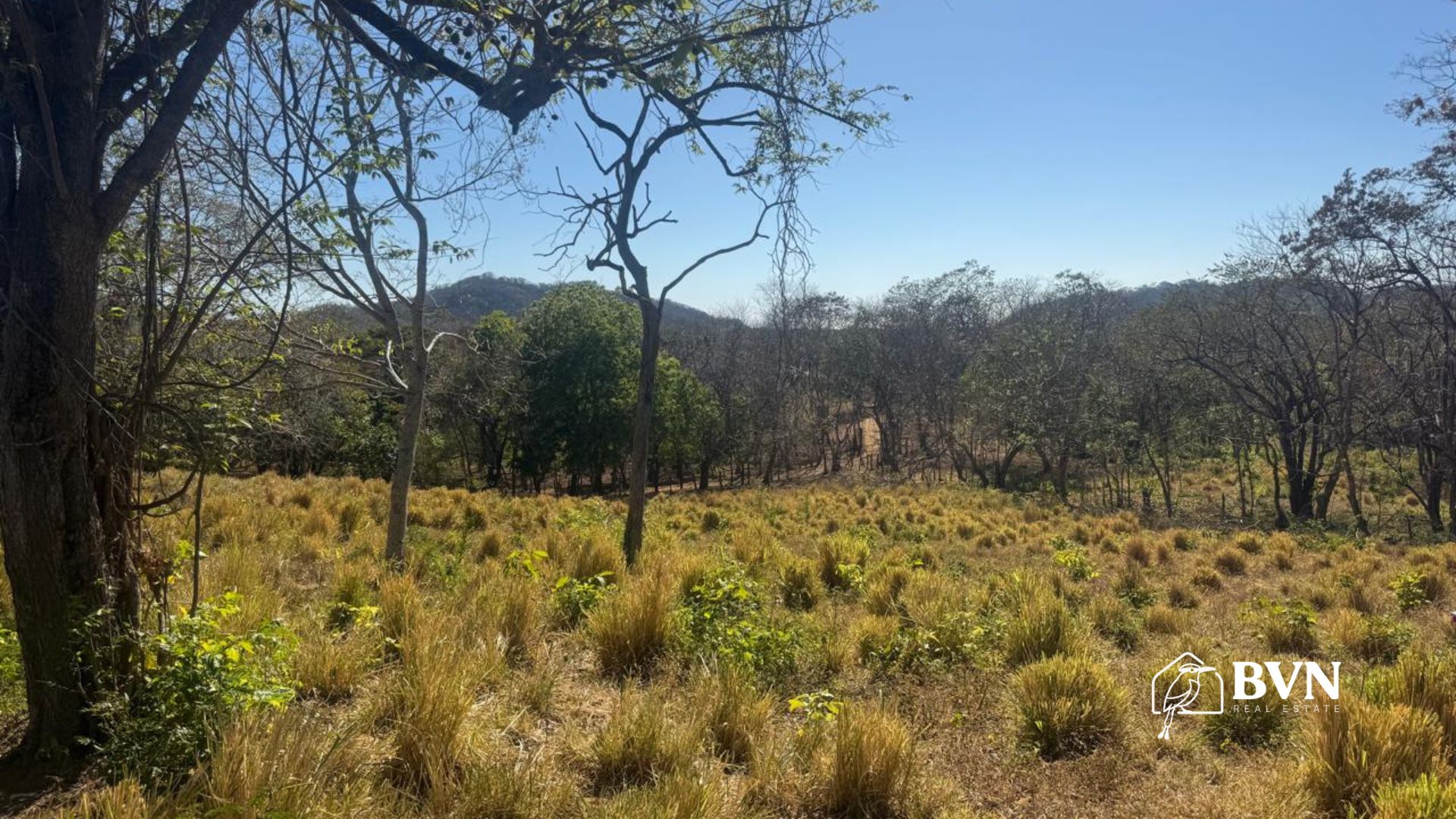 🌿 2.5-Acre Land for Sale – Partial Ocean View near Playa Marsella
