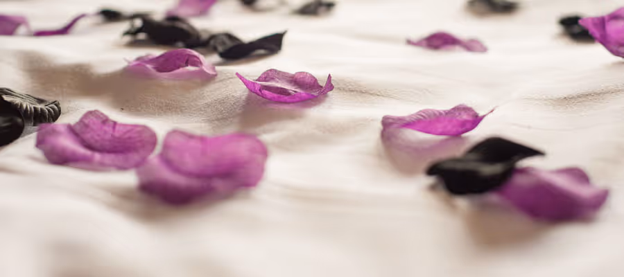 Wedding Couple Consultations