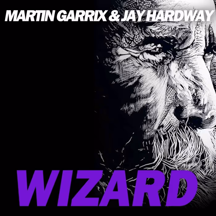 Wizard Martin Garrix Jay Hardway