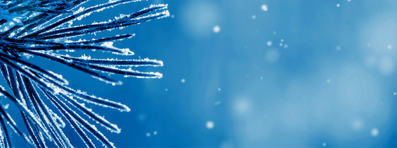 Double Your Impact with MHLC's Year-end Matching Challenge! 