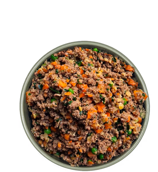 Bowl of fresh Frisp dog food cooked in Amsterdam.