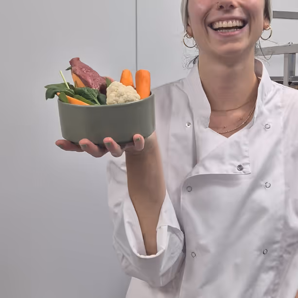Smiling dog chef holding a green bowl filled with human-grade ingredients for fresh dog food, including beef, spinach, carrots, and cauliflower.