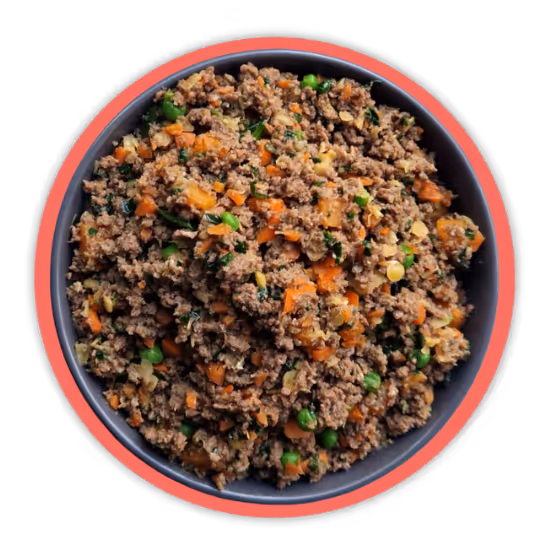 Bowl of fresh Frisp dog food cooked in Amsterdam.