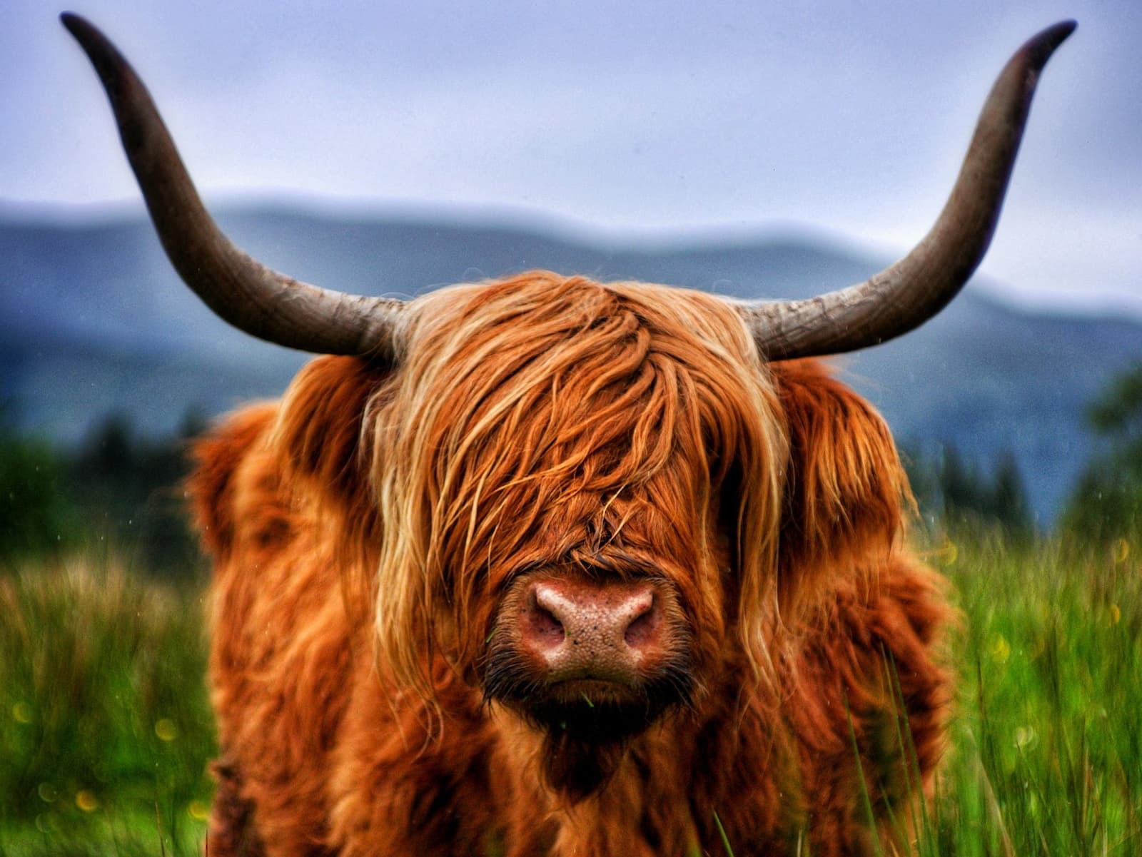 West Highland Way Schottland