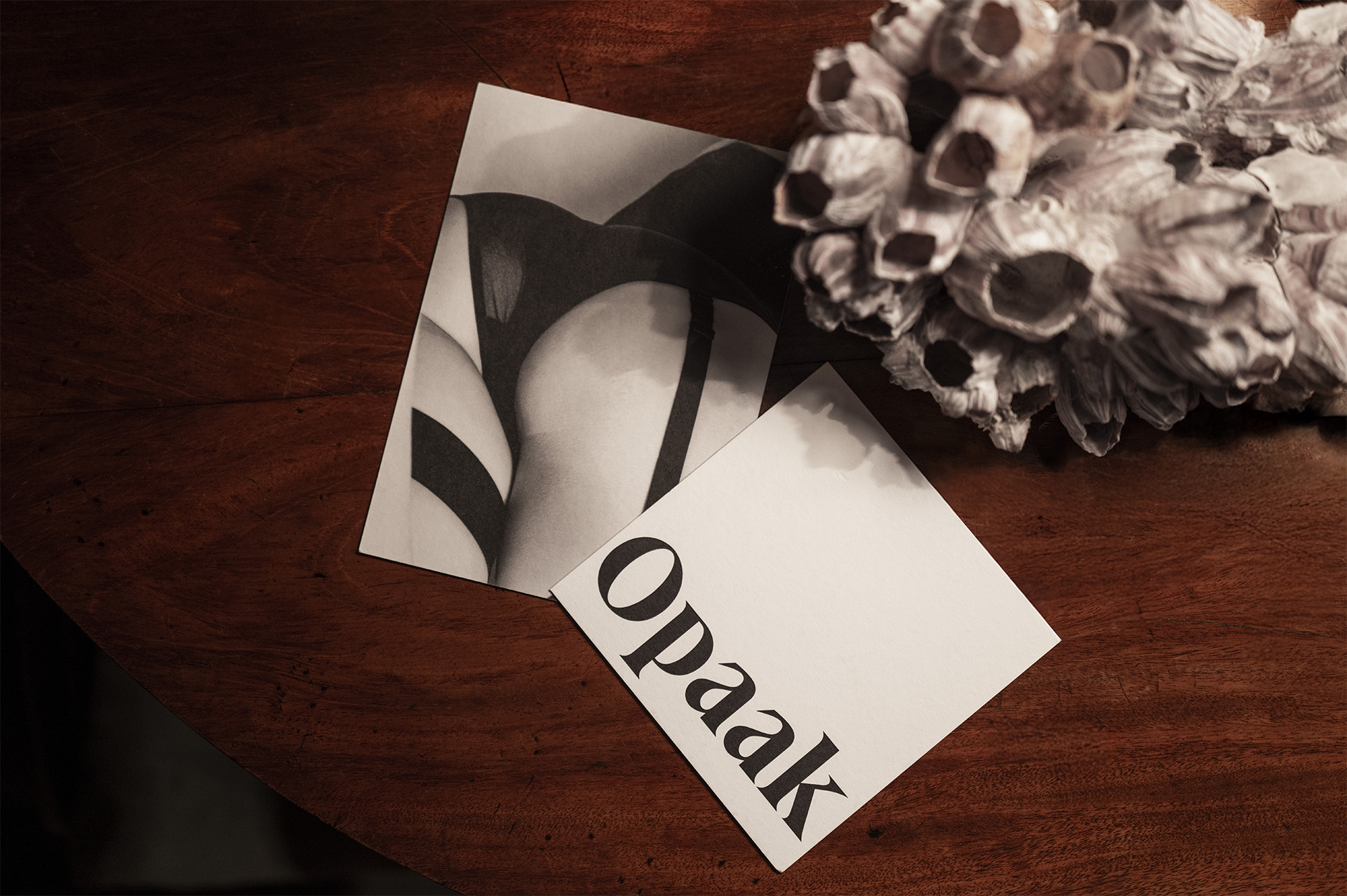 Von Jungfeld Starterbild