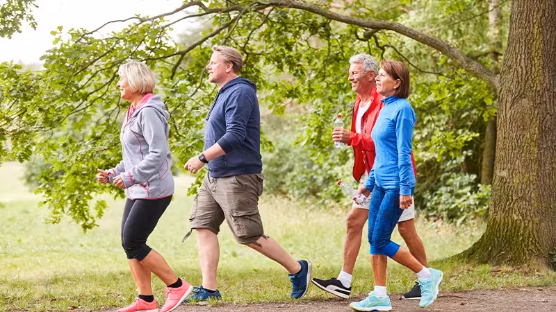 Senior group walking in nature.