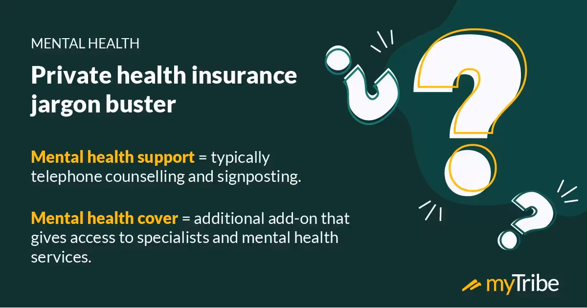 Graphic explaining often used in private health insurance jargon in the mental health space.