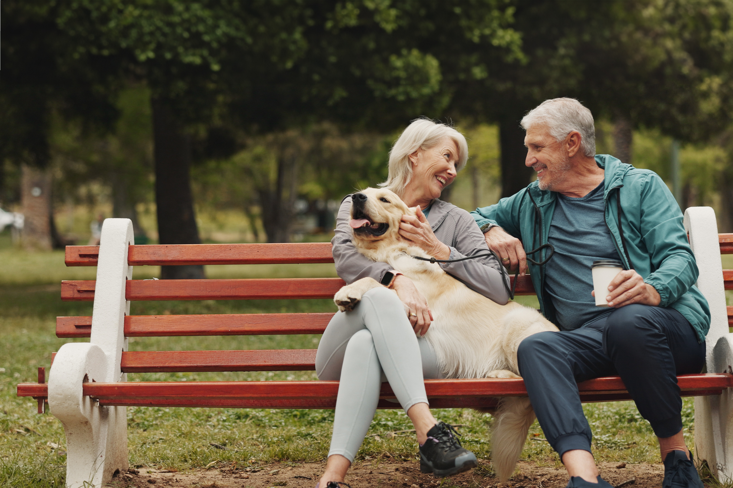 Retired couple sit on a park bench with their golden retriever, chatting and smiling