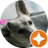 Google Review Profile Picture