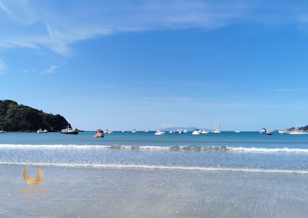 Beaches on Waiheke Island are a paradise in summer