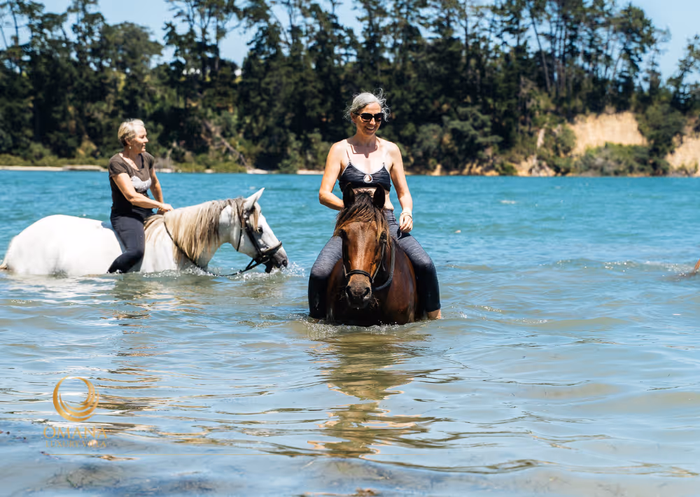 Horseback riding is a great summer activity on Waiheke Island