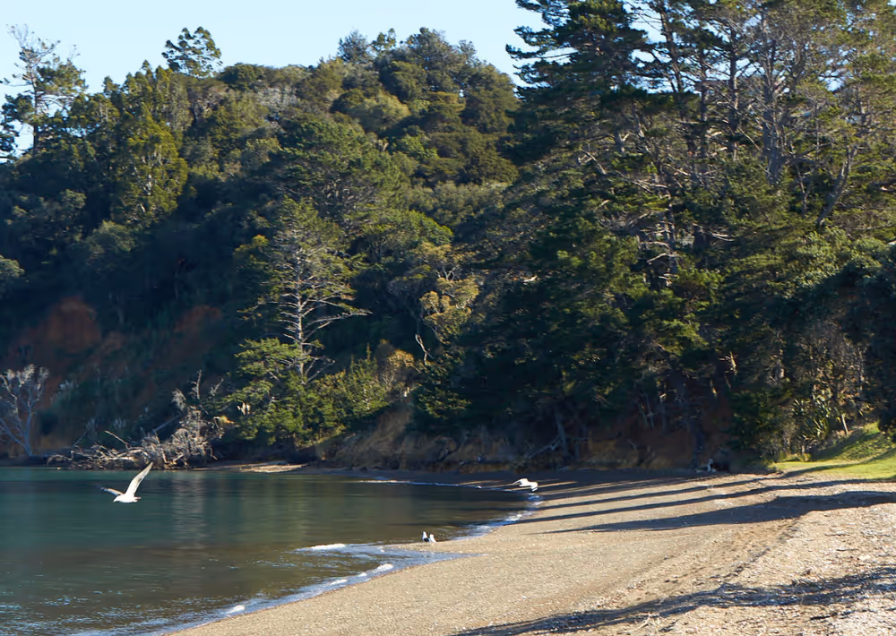 Woodside bay private beach on Waiheke Island