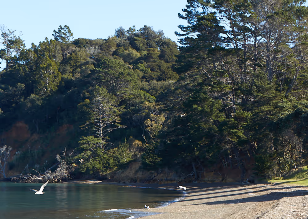 Omana guests have access to a private beach