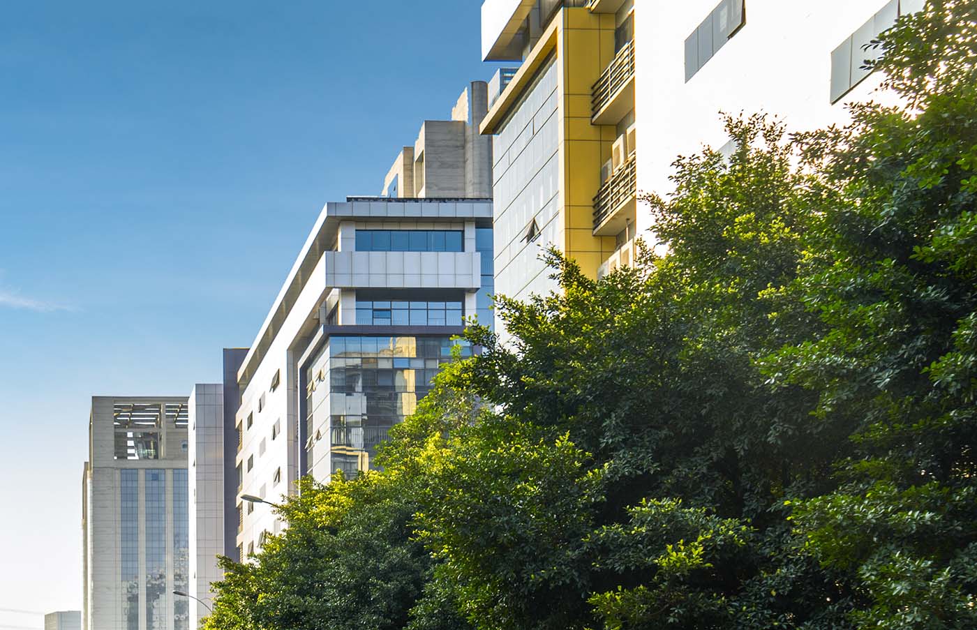 Modern multi-story office buildings partially obscured by green trees under a clear blue sky.