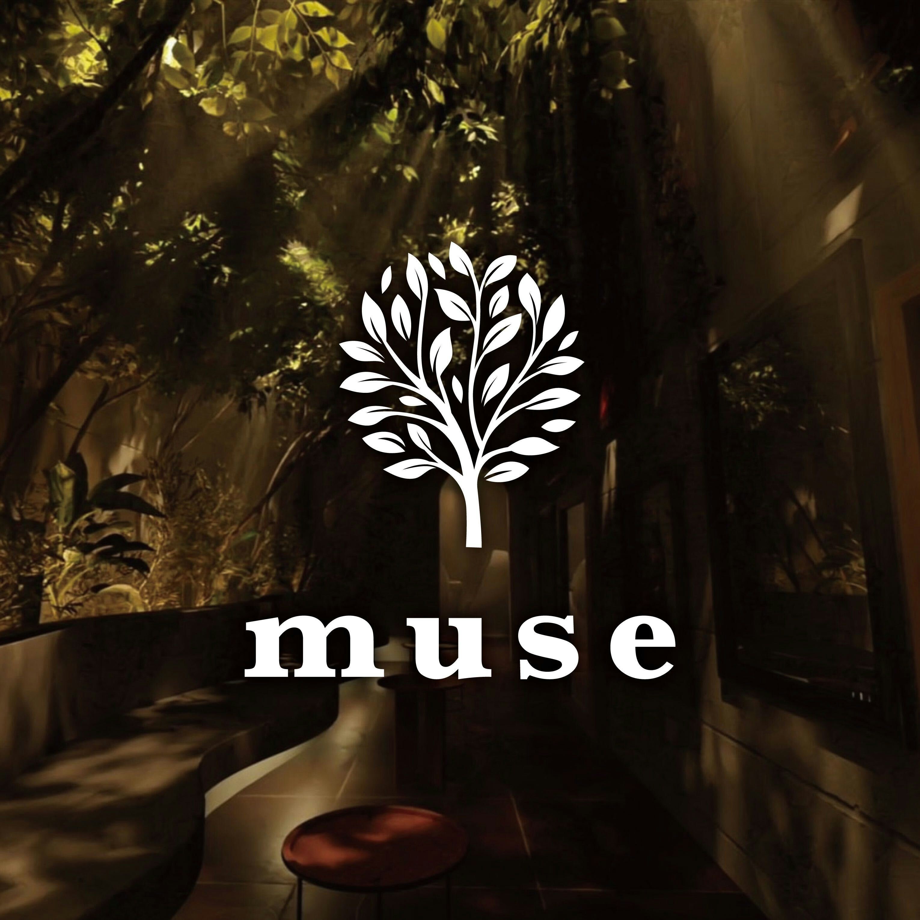 muse渋谷松濤店（ミューズシブヤショウトウテン） JR渋谷駅から徒歩7分/京王井の頭線神泉駅から徒歩3分 ｜シーシャ（水たばこ）カフェ・バー