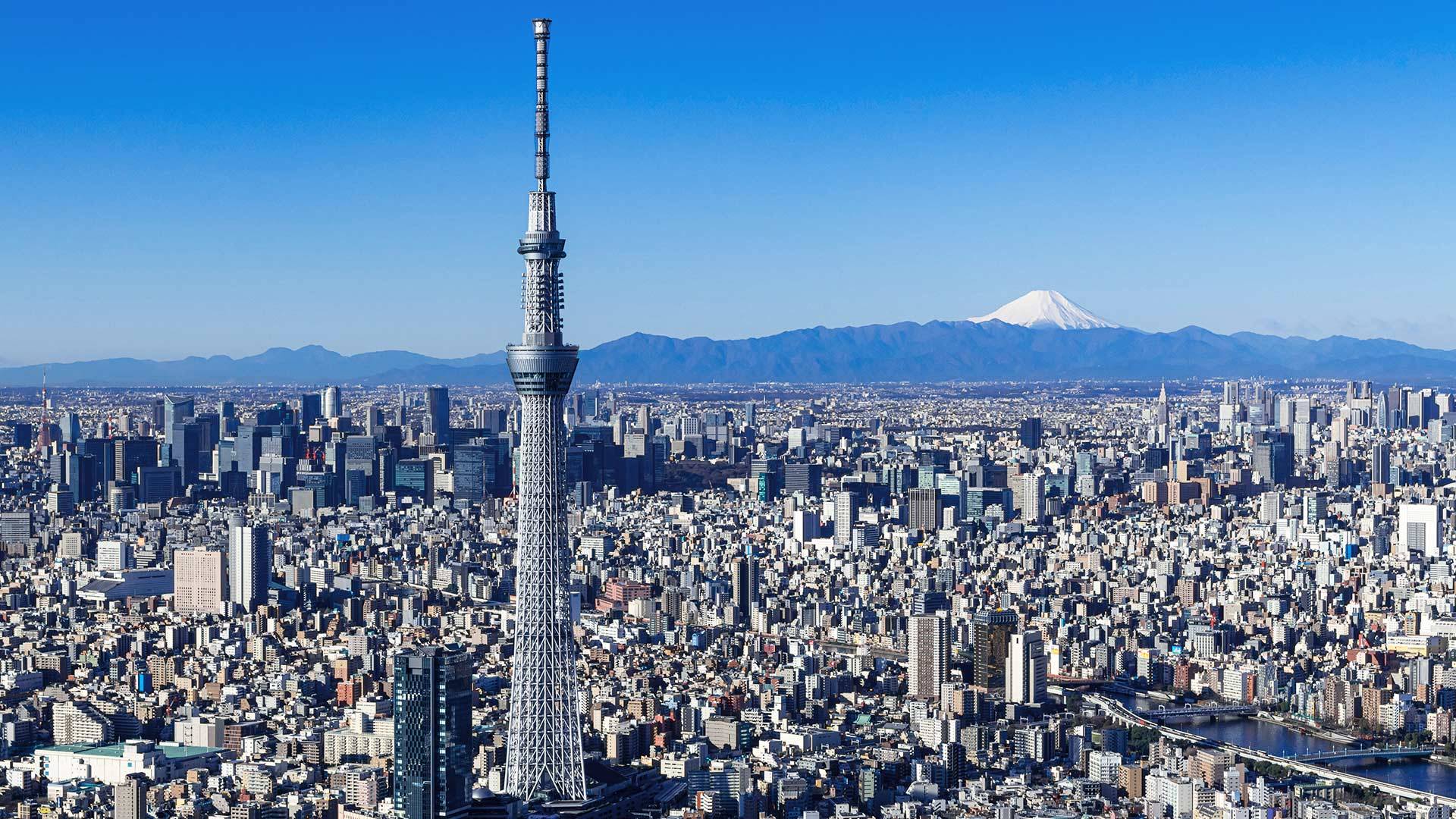 Things to do around the Tokyo Skytree area | The Official Tokyo Travel  Guide, GO TOKYO
