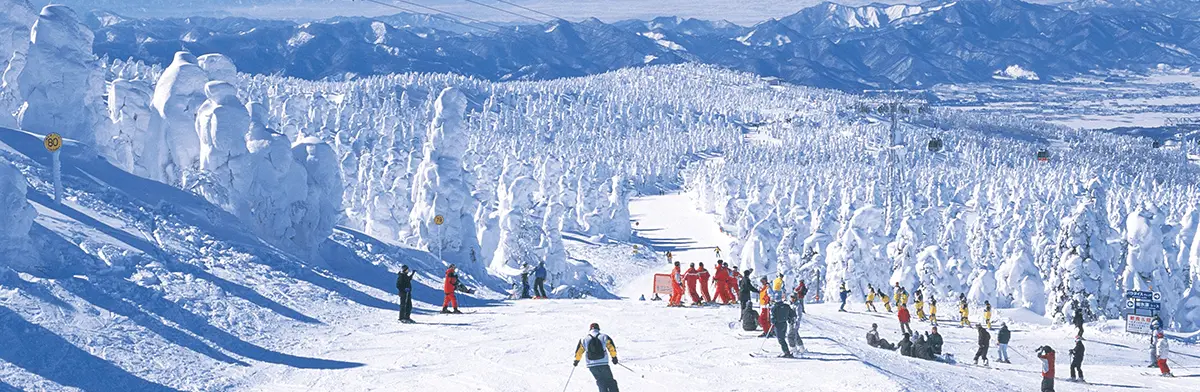 Explore Japan through the Four Seasons - Winter