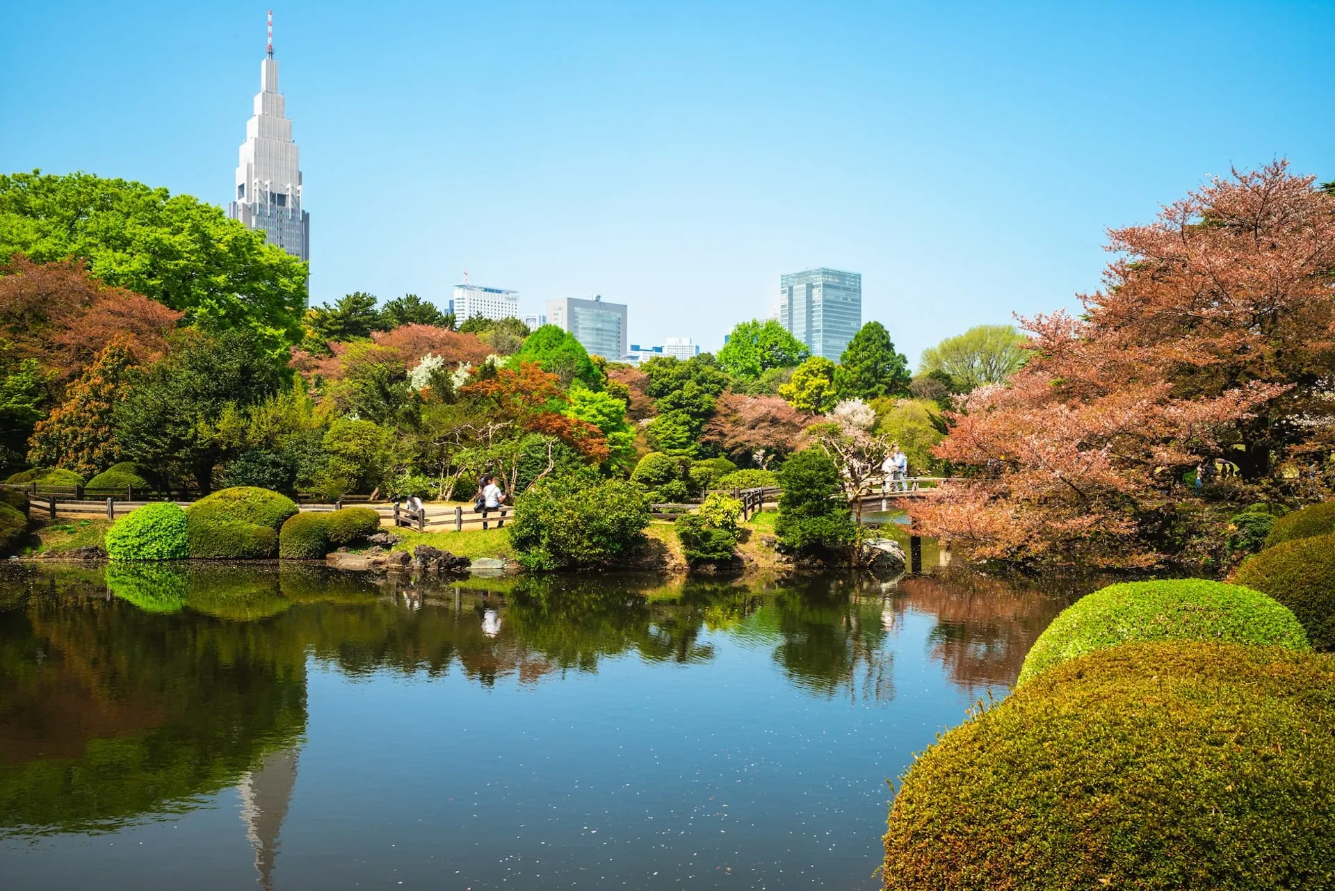 Hal-hal terbaik yang dapat dilakukan di dalam dan sekitar Taman Nasional  Shinjuku Gyoen, Tokyo 2025