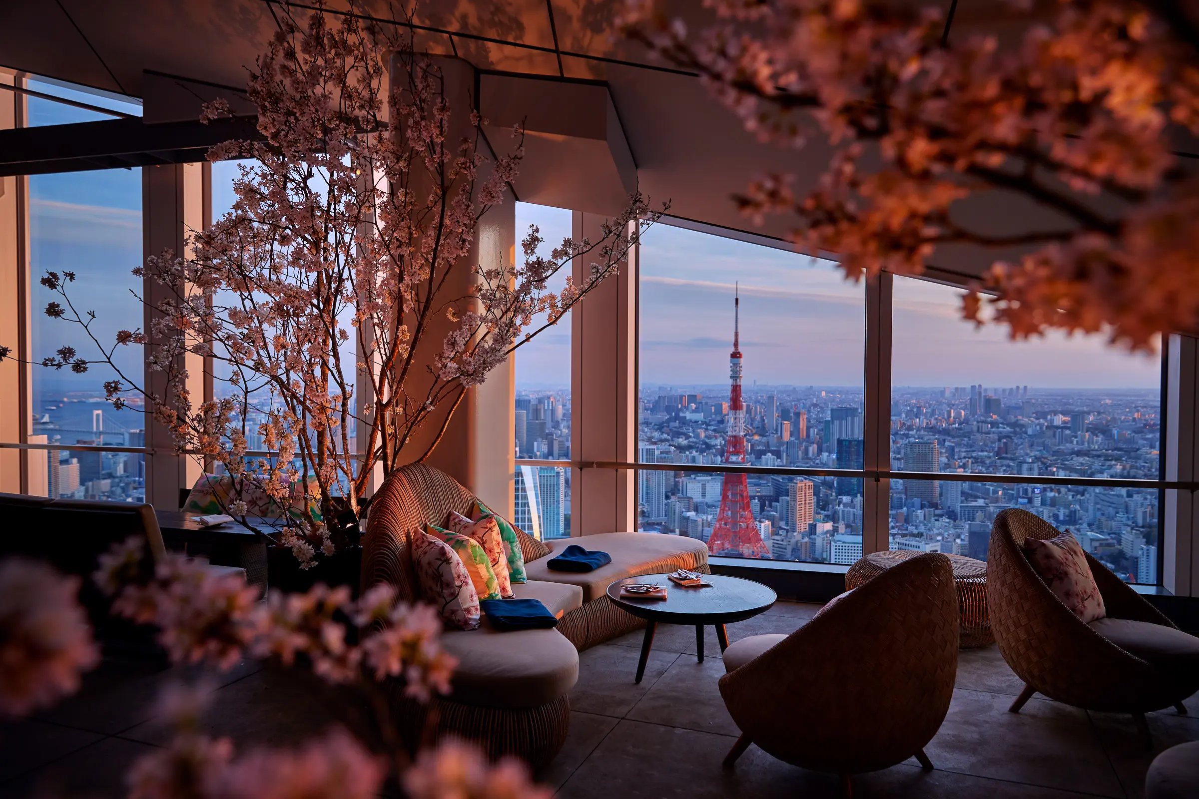 Hanami Premium View Plan at Rooftop Bar Andaz Tokyo