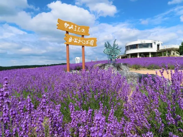 Hinode Park Lavender Garden - Must-See, Access, Hours & Price | GOOD LUCK  TRIP