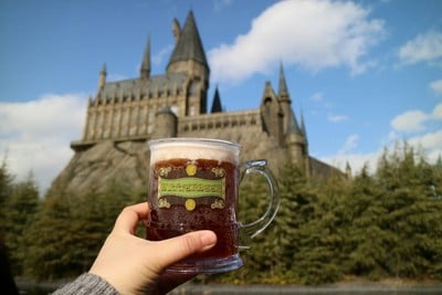 รีวิว universal studio japan - กินกิน เล่นเล่น