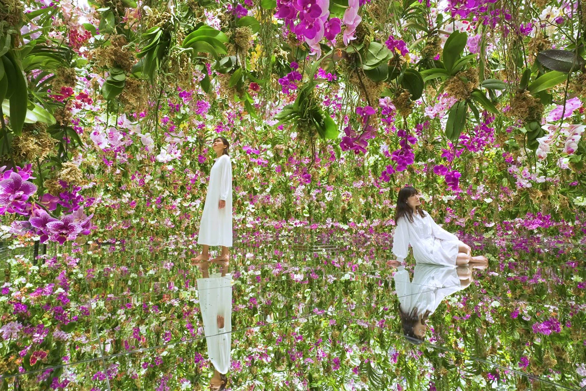 teamLab Planets TOKYO - Touch of Japan