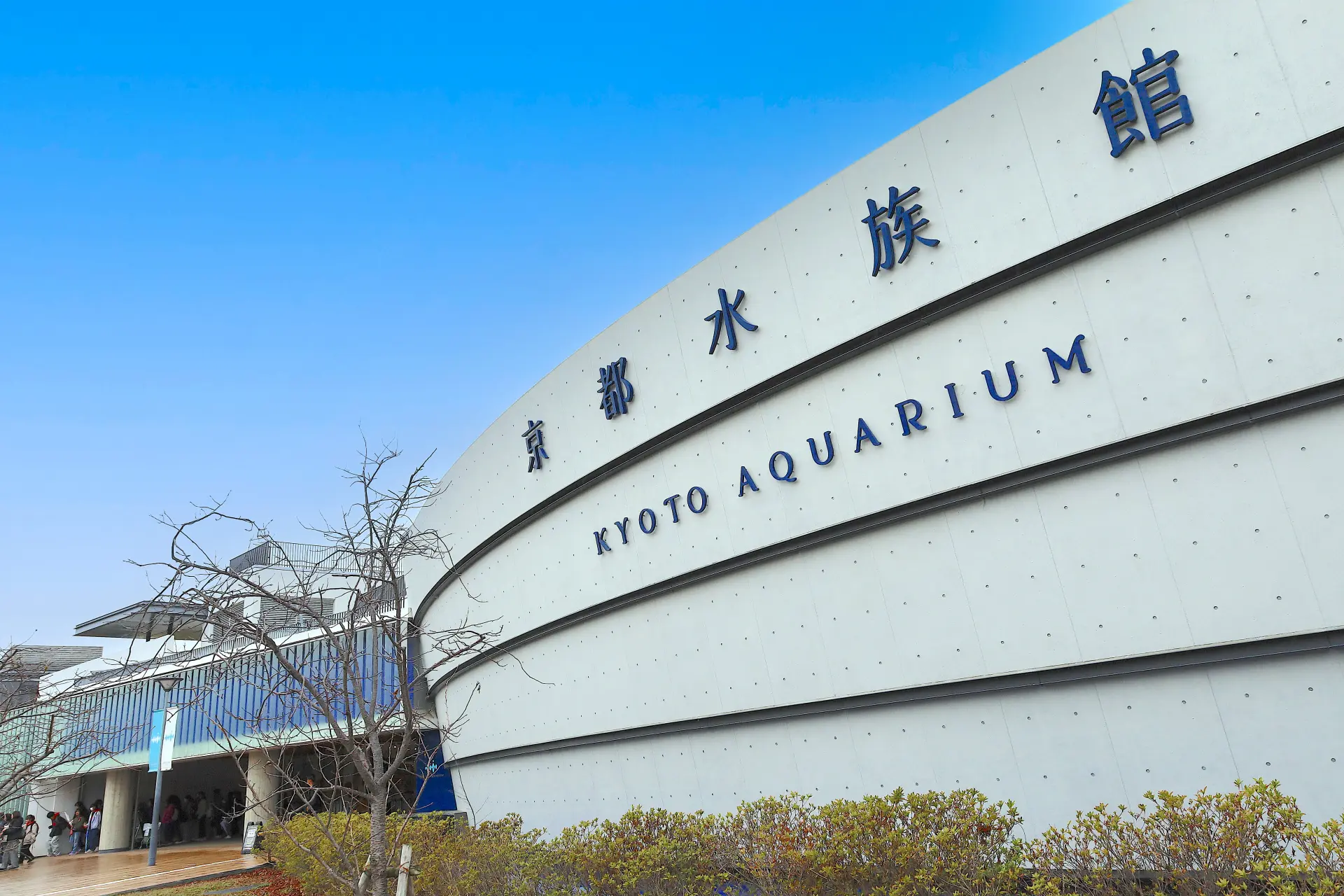 Kyoto Aquarium Complete Guide: A Perfect Location Within Walking Distance  of Kyoto Station, Surrounded by Nature | GOOD LUCK TRIP