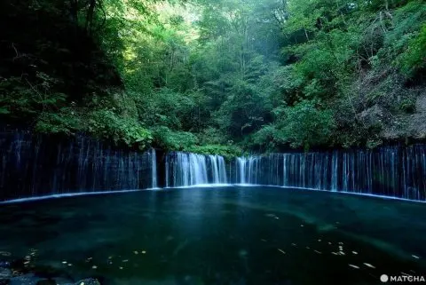 Karuizawa Guide: Best Nature Spots, Dining, Hotels, Access, and More -  Japan Travel Guide MATCHA