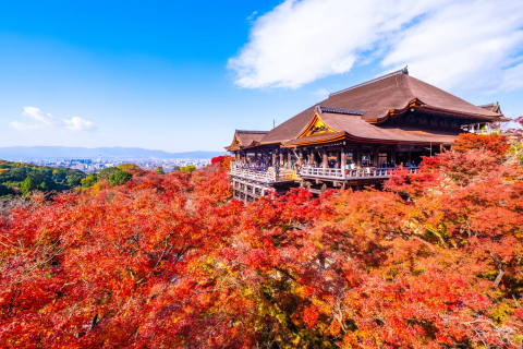 Kiyomizudera Temple: Features, History, and Best Time to Visit - Japan  Travel Guide MATCHA