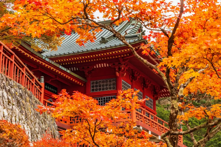 Nikko Fall Foliage: 12 Sites With Breathtaking Scenery - Japan Travel Guide  MATCHA