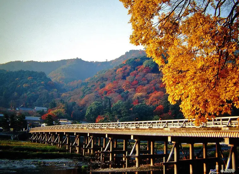 The Arashiyama district in Kyoto | Japan Experience
