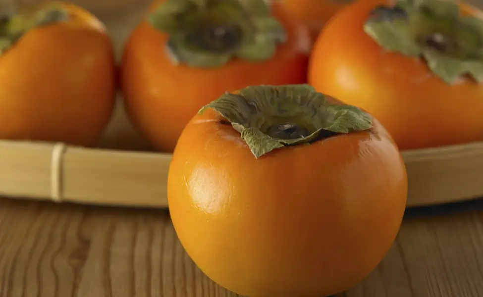 Fruit Picking in Japan for Autumn and Winter: A Seasonal Treat