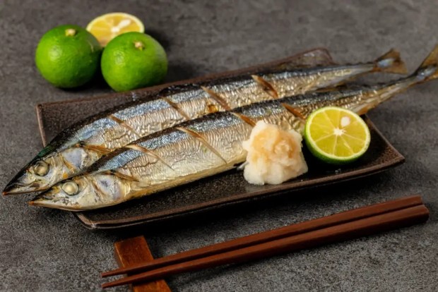 Sanma: The Best Fish to Eat in Autumn? - TokyoTreat Blog