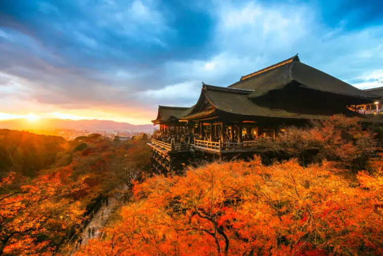 Japan in November: The Best Things To Do and Places To Visit