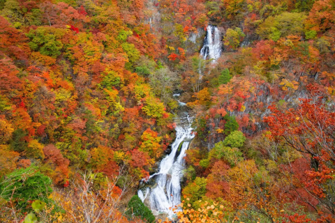 Nikko Fall Foliage: 12 Sites With Breathtaking Scenery - Japan Travel Guide  MATCHA
