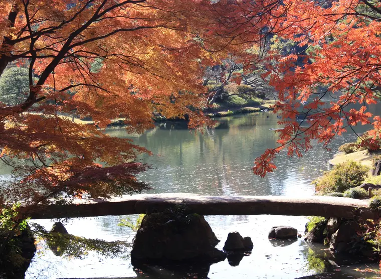 The Rikugi-en garden | Japan Experience