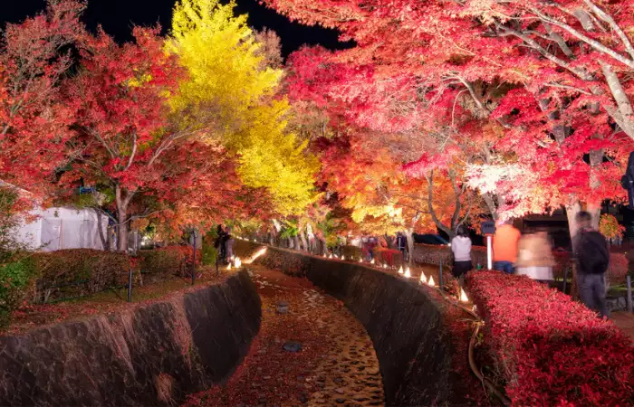 13 Superb Things To Do In Japan In November 2025 | What To Do In Japan –  Japan Truly