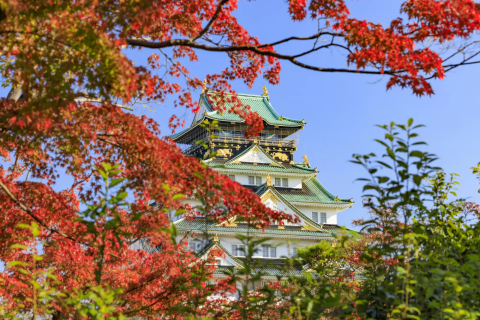 Osaka's Fall Foliage: Top 12 Spots in 2024 - Japan Travel Guide MATCHA