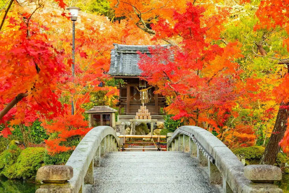 Eikando Temple - Beautiful Autumn Foliage at a Famous Japanese Temple in  Kyoto - Art & Architecture｜COOL JAPAN VIDEOS｜A Website With Information  About Travel, Culture, Food, History, and Things to Do in