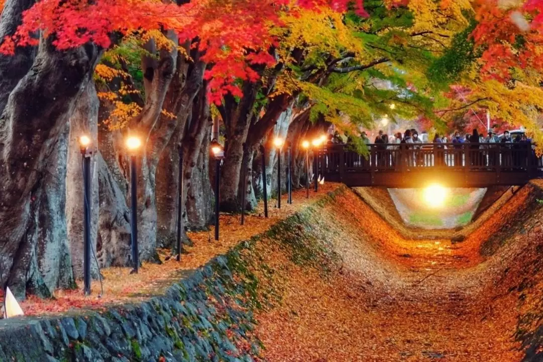 Experience the Spectacular Autumn Colors on the Mt. Fuji & Lake Kawaguchi  Maple Day Tour from Tokyo" | funBooky