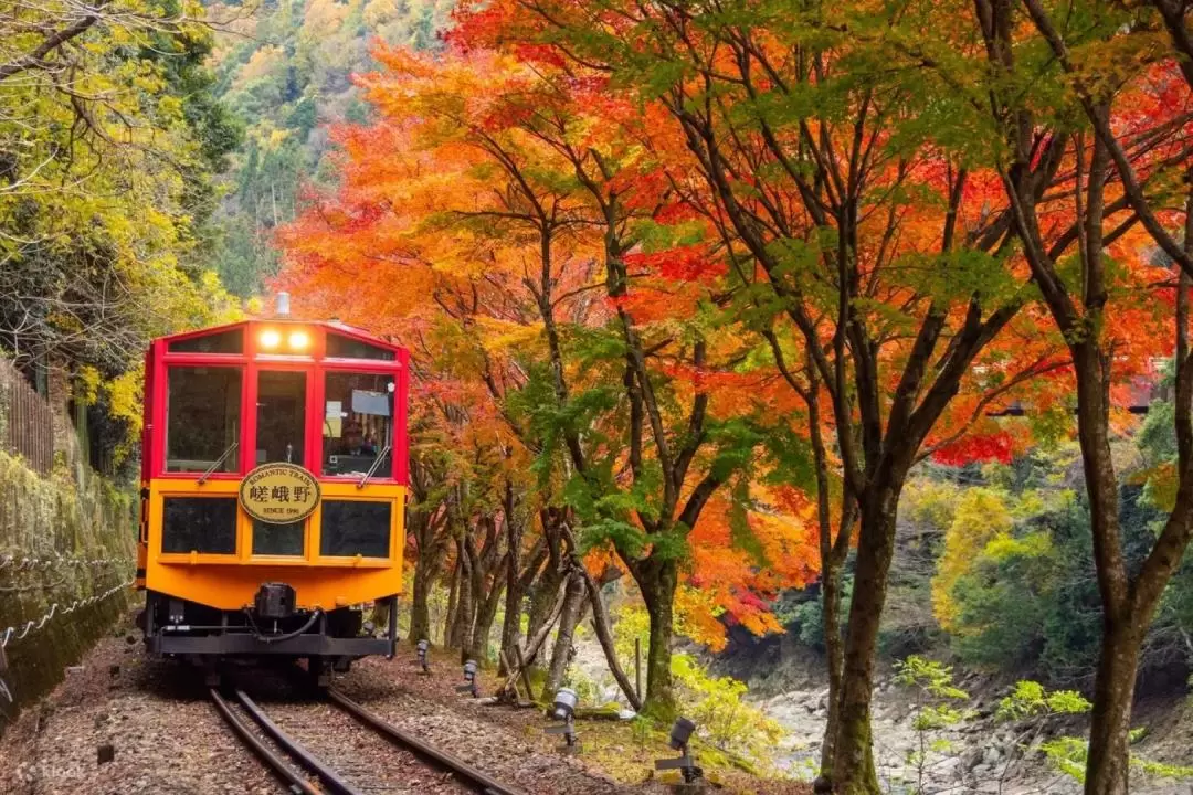 Experience the Beauty of Arashiyama and Hozukyo Gorge on an Unforgettable  Half Day Landmark Tour" | funBooky