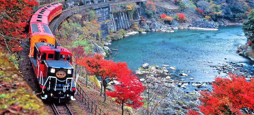 Enjoy Autumn in Kyoto on the Sagano Romantic Train | DiGJAPAN!