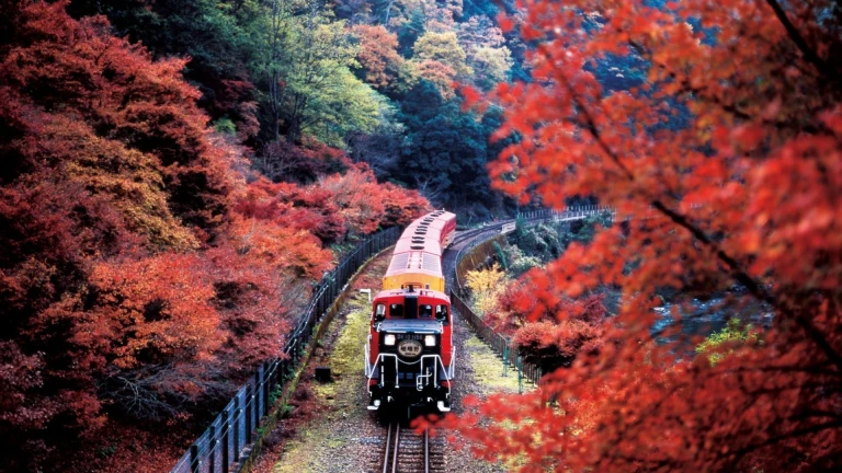 Train Rides in Japan that the Indian Soul will Love Exploring the Beautiful  Country In