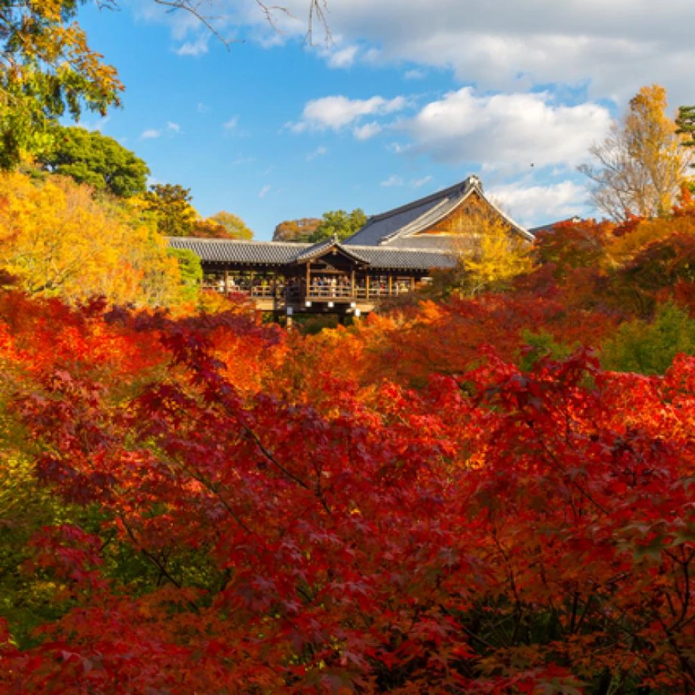 Tofuku-ji Temple - gloobles