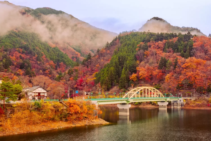 Tokyo's Okutama Area: 7 Splendid Autumn Foliage Spots and Access - Japan  Travel Guide MATCHA