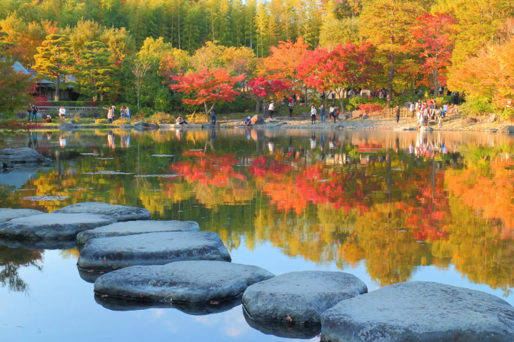 Showa Kinen Park in Tokyo: Autumn Foliage and Evening Light-ups in 2024 -  Japan Travel Guide MATCHA