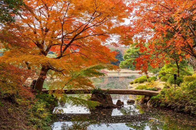 Rikugien Gardens Admission Ticket in Tokyo -Rakuten Travel Experiences