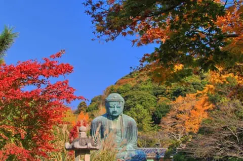 Kamakura's Top 10 Fall Foliage Spots 2025: Temples, Parks, and More - Japan  Travel Guide MATCHA