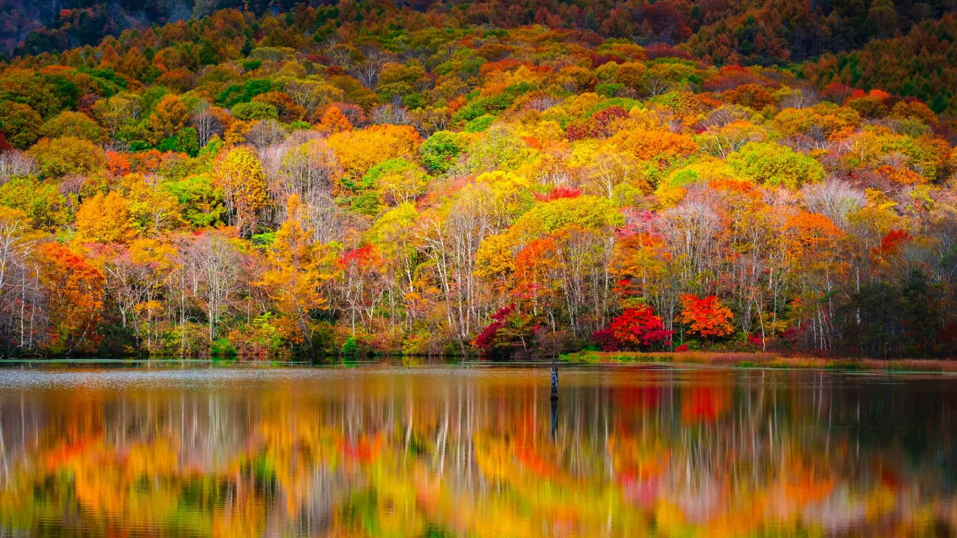 The only read you'll need! Nagano Prefecture: a Guide to the Best of all  Four Seasons page 3 | GOOD LUCK TRIP